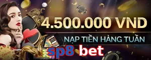 sp8 bet