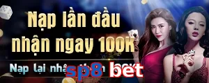 sp8 bet